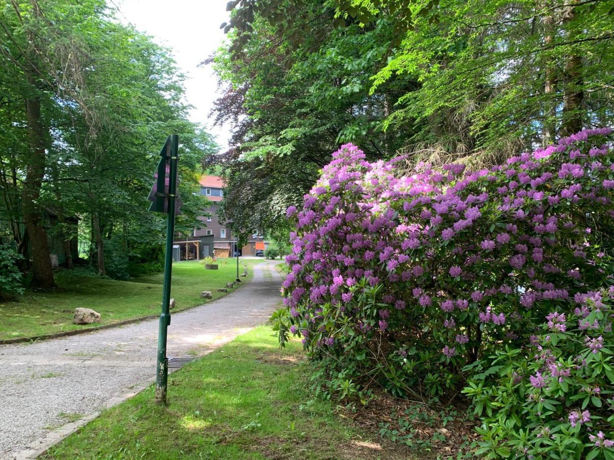 Haus am Kurpark Apartment Clausthal-Zellerfeld Bagian luar foto