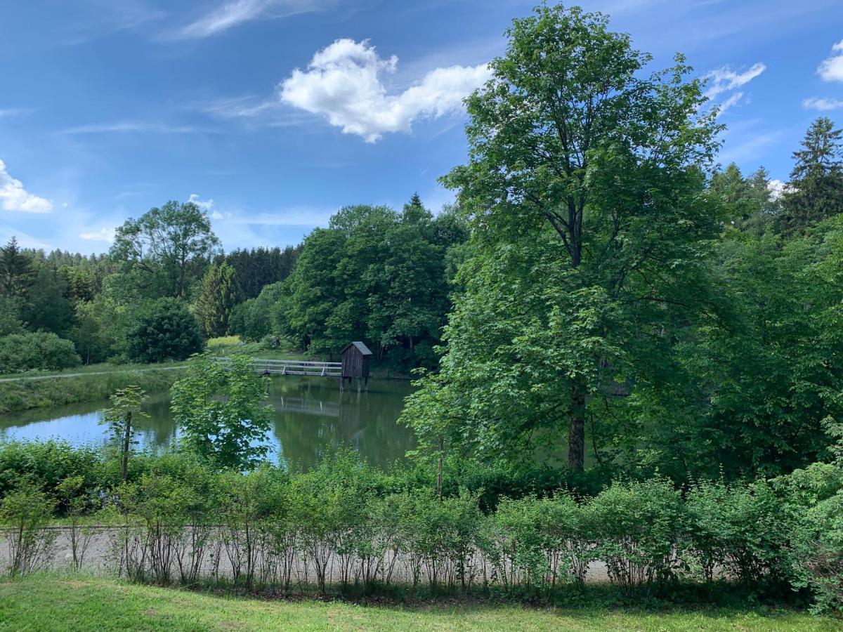 Haus am Kurpark Apartment Clausthal-Zellerfeld Bagian luar foto